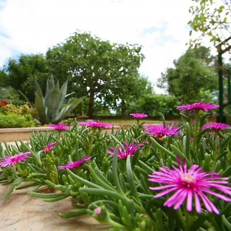 In With Terrace, Wifi Lejlighed