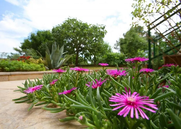 In With Terrace, Wifi Lejlighed