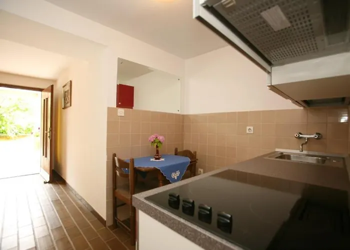 Lejlighed In With Terrace, Wifi Poreč